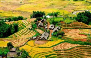 Thung Lũng Mường Hoa- Sapa